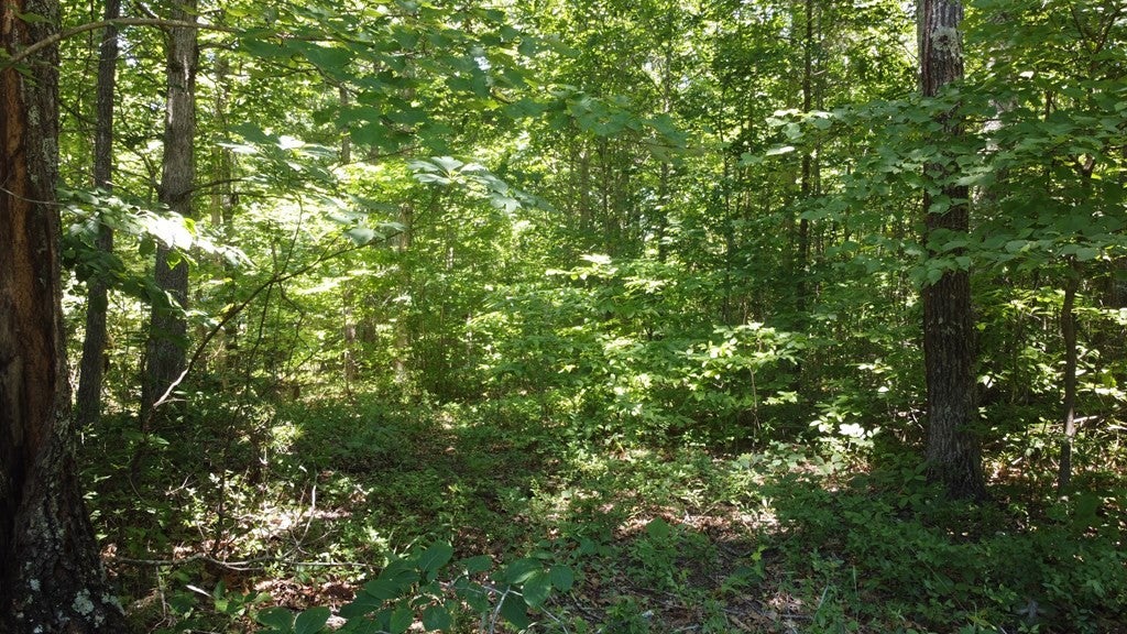 0 Camp Creek Rd