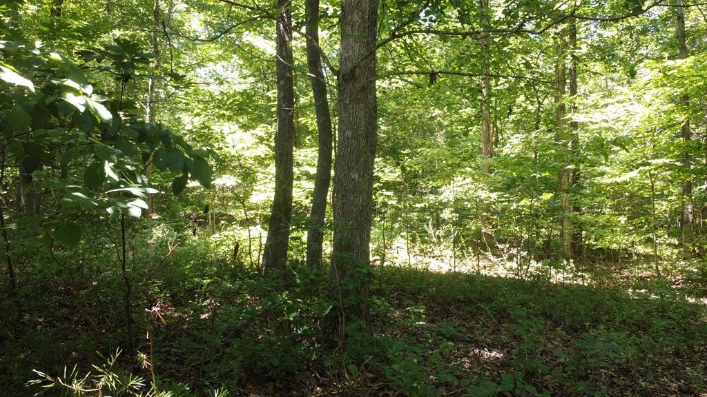 0 Camp Creek Rd