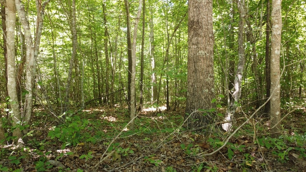 0 Camp Creek Rd