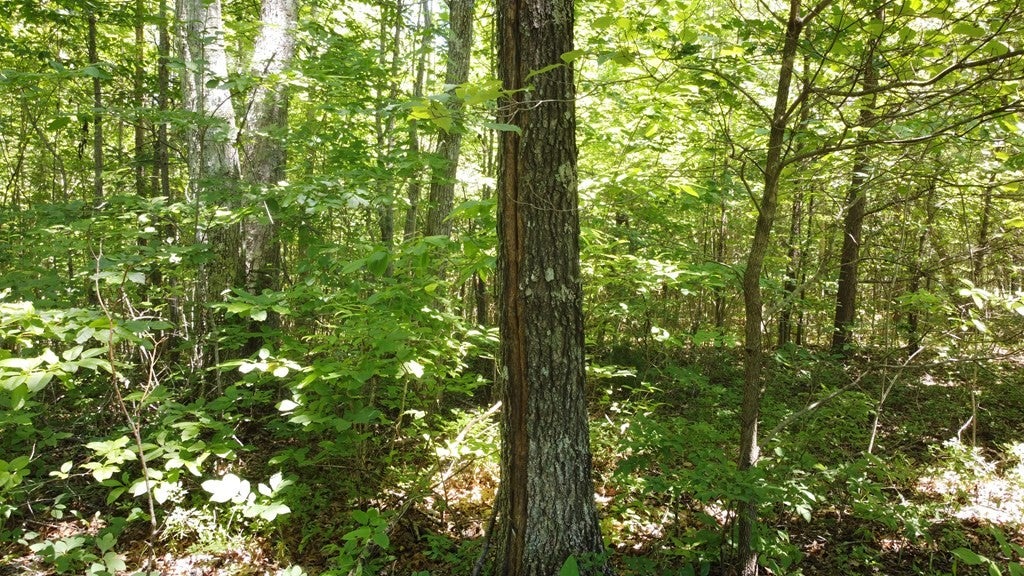 0 Camp Creek Rd