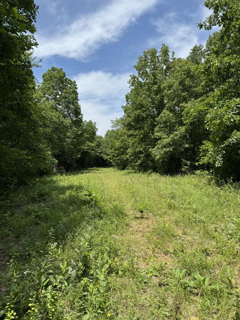 565 Lucas Ridge Ln Waverly TN 37185