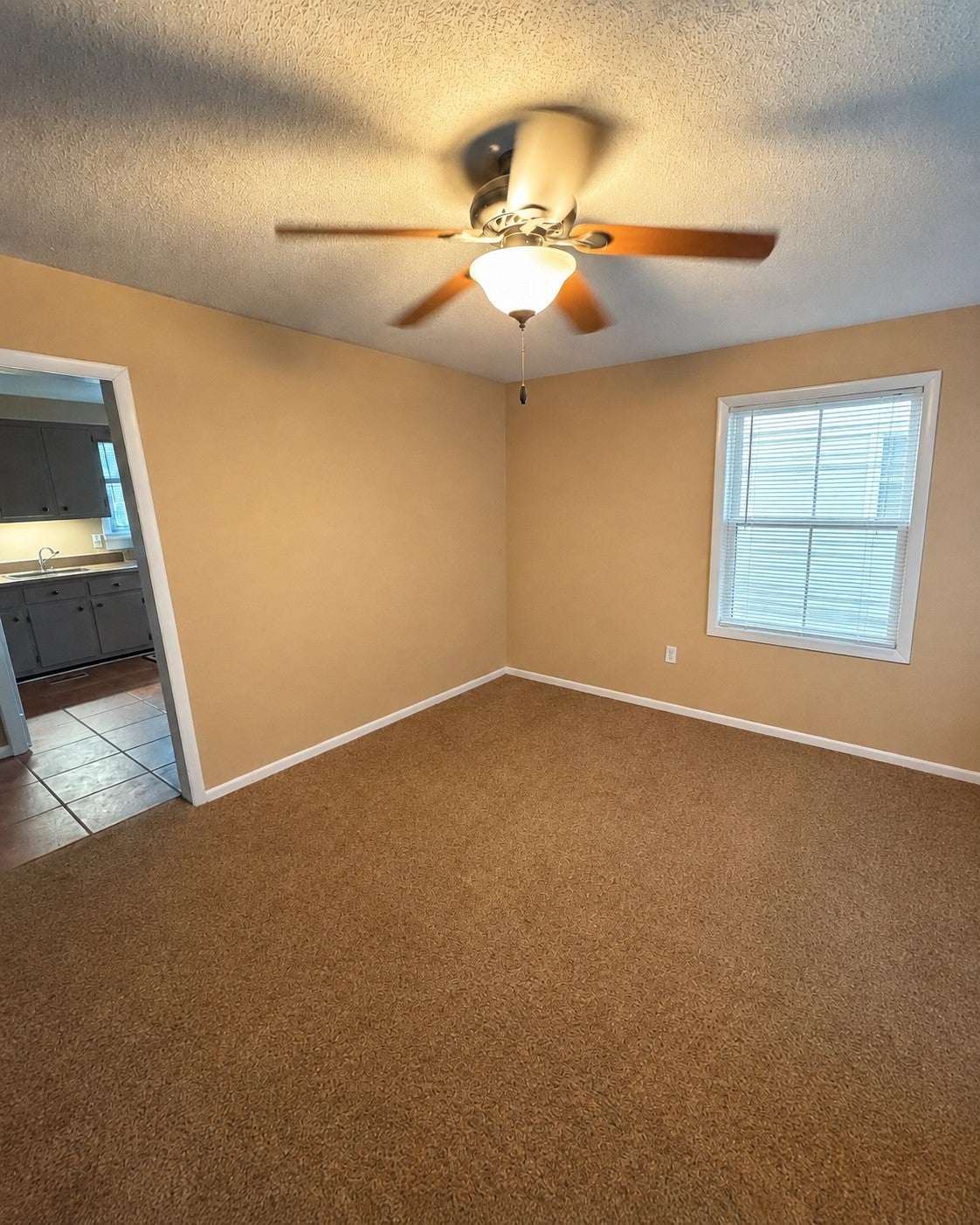 206 Paddock Rd