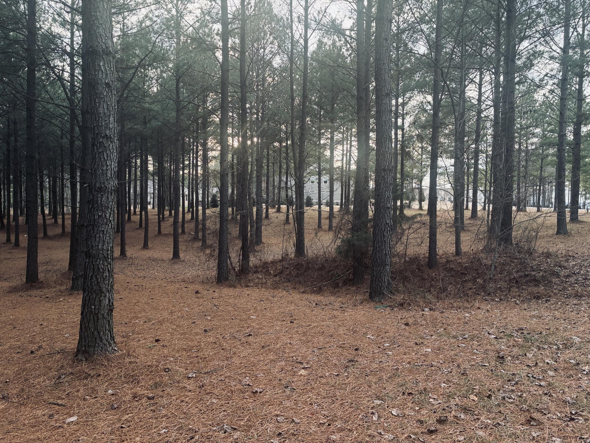 820 Cumberland Circle