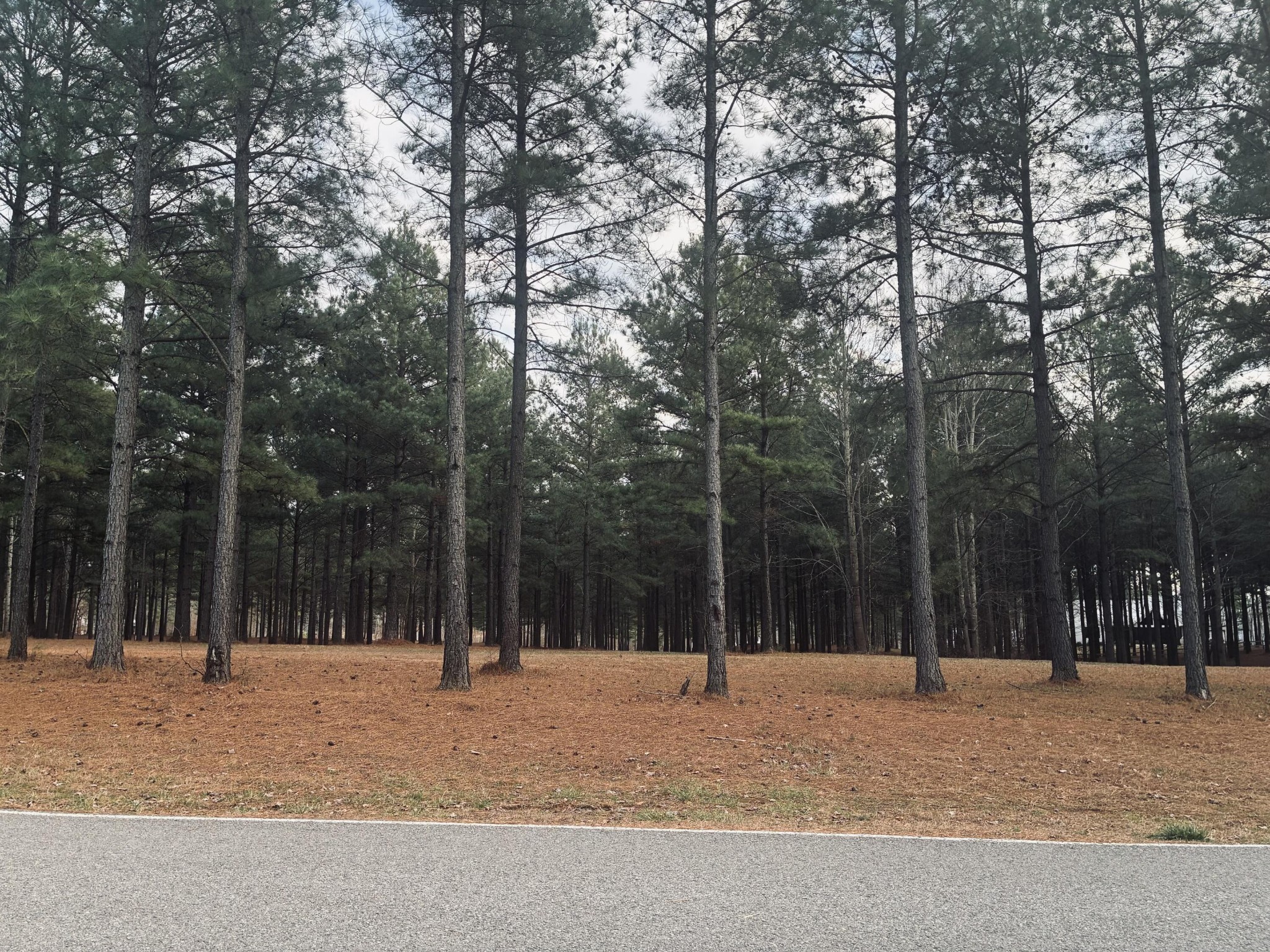 820 Cumberland Circle