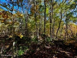0 Honey Springs Rd