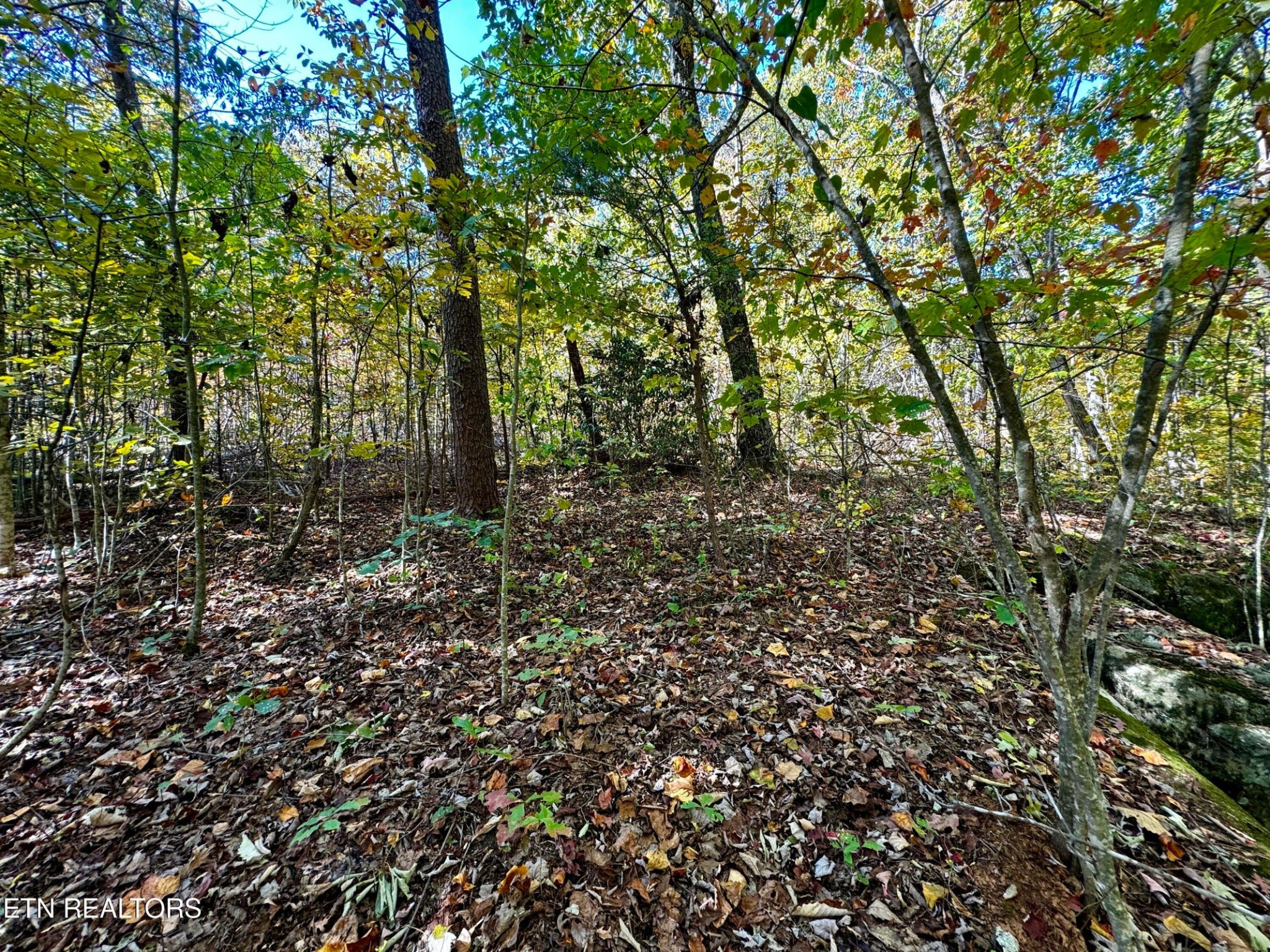 0 Honey Springs Rd