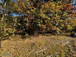 0 Honey Springs Rd
