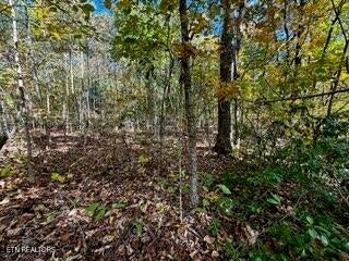 0 Honey Springs Rd