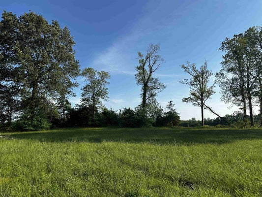 CATFISH LN, CRUMP, TN 38327 - Image a80b05b7d2d3bb62ff73646167da9621/901217177