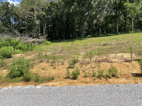 0 Hidden Hills Lane Summertown TN 38483