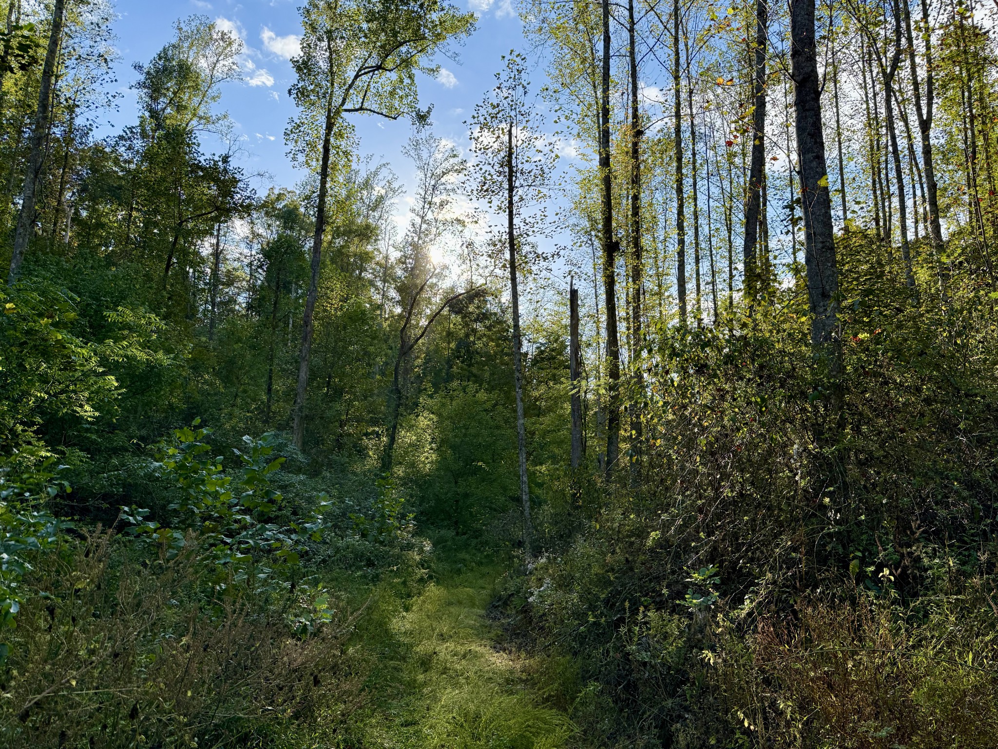 806 Brandon Hollow Rd