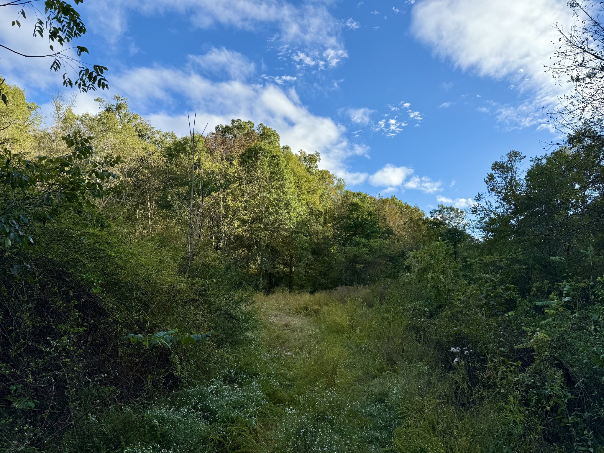 806 Brandon Hollow Rd