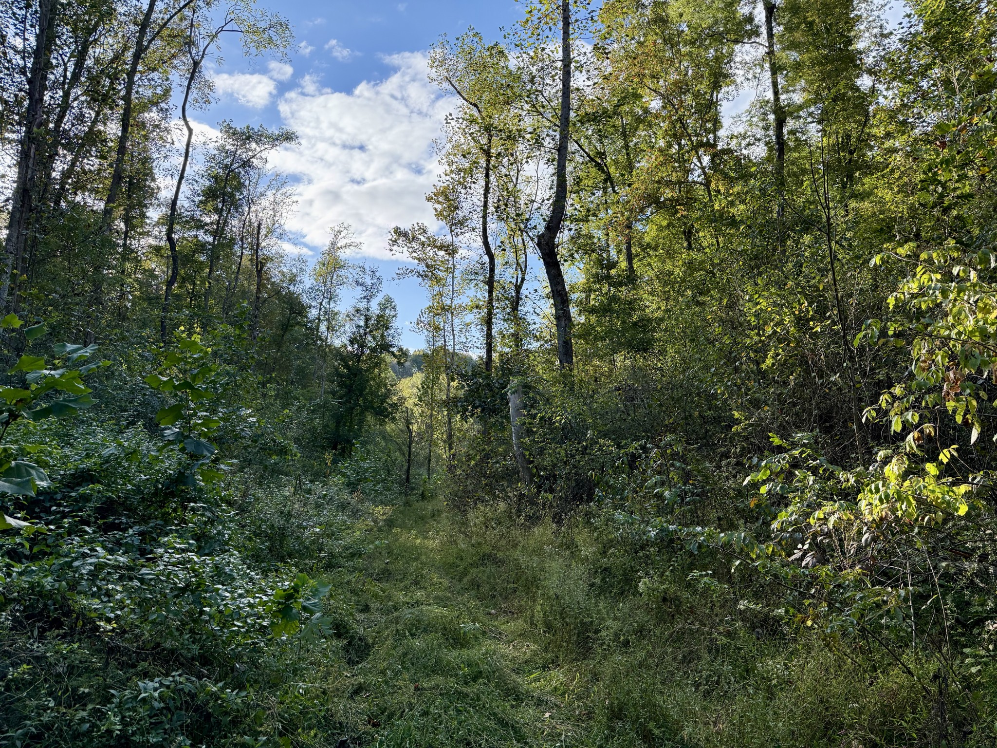 806 Brandon Hollow Rd