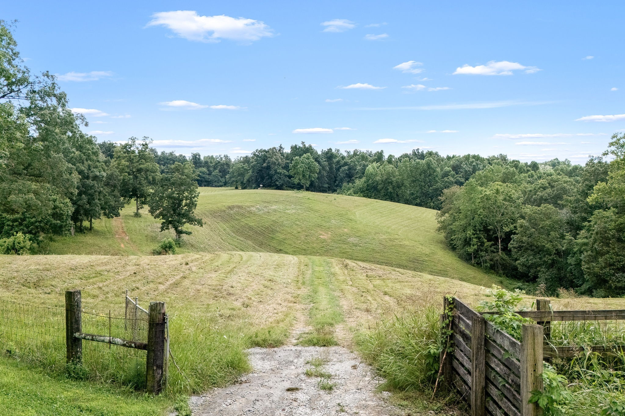 540 POWELL HOLLOW ROAD