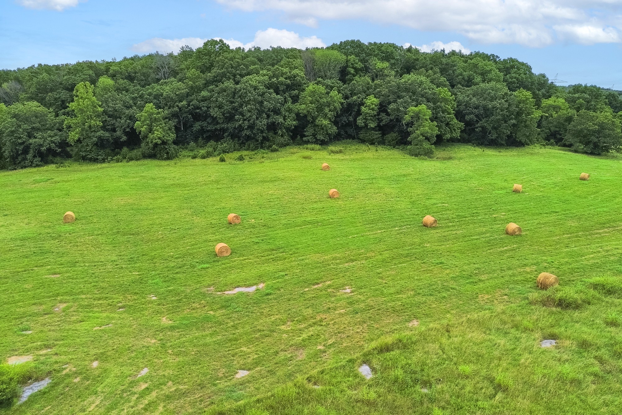 6677 Trousdale Ferry Pike