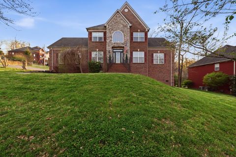 Photo of 425 Westwood Dr, Smyrna, TN 37167 (MLS # 3169034)