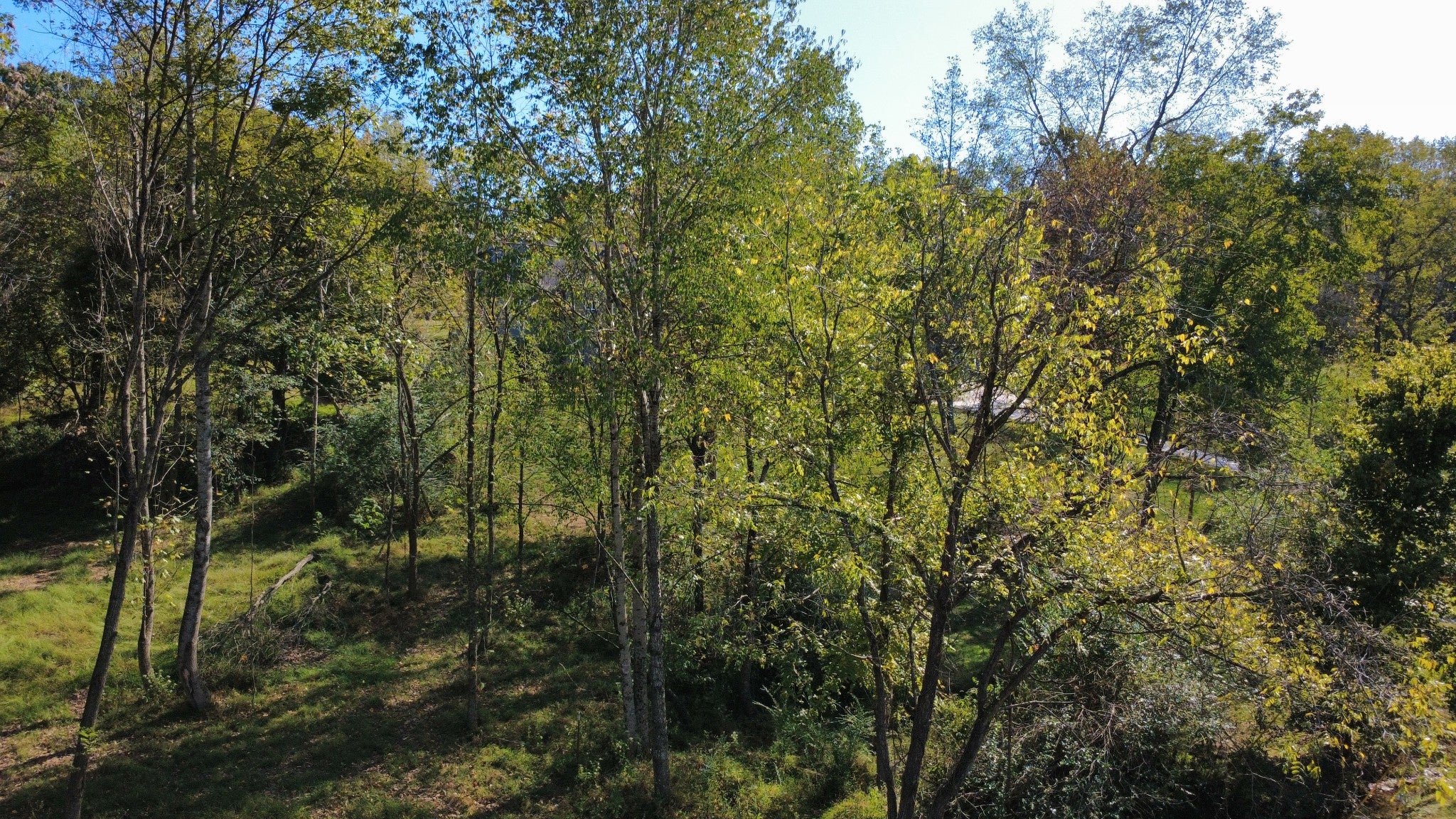 153 Lena Loop