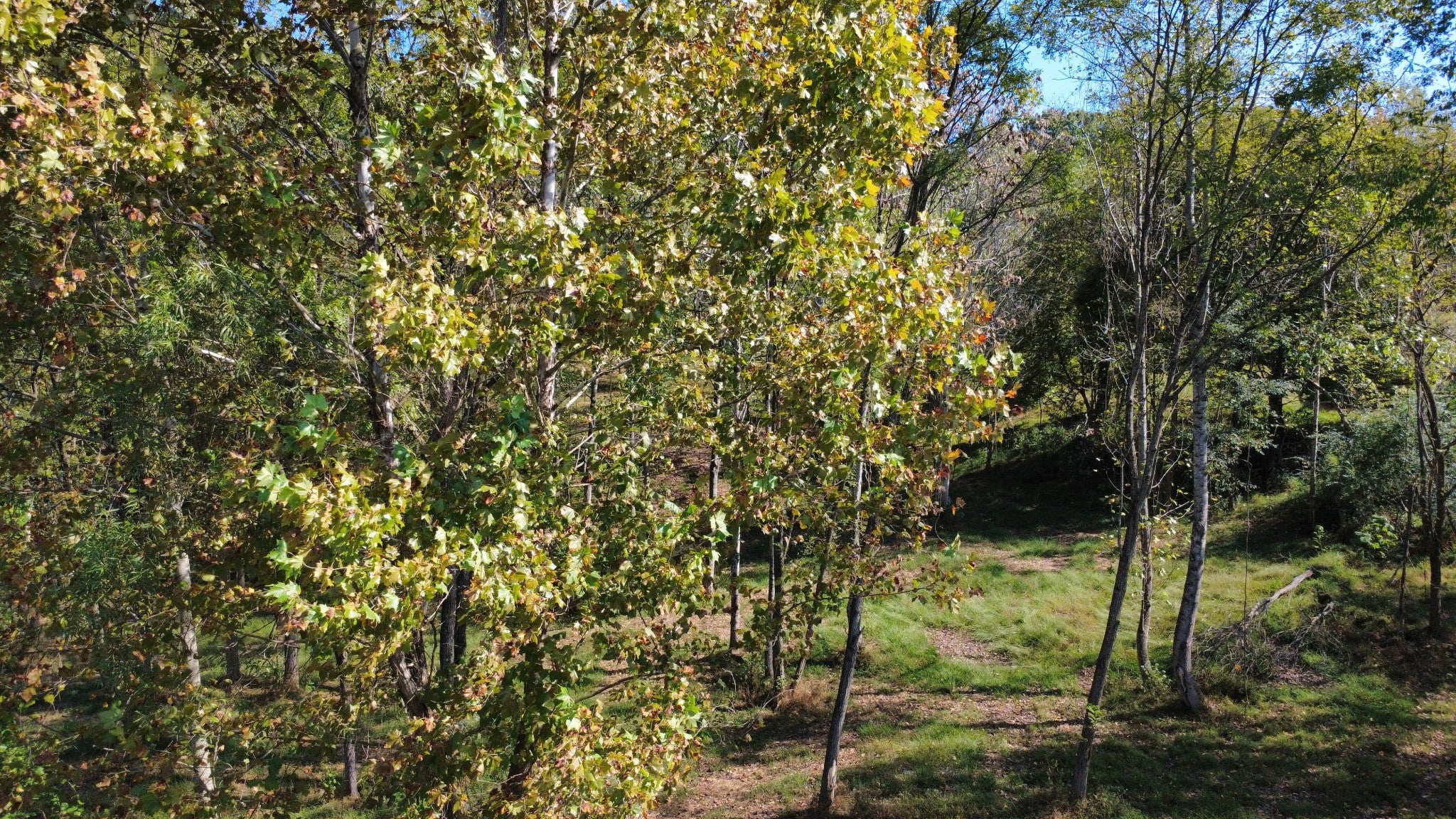 153 Lena Loop