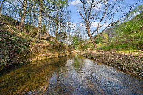 1 Bud Parker Lane Erin TN 37061