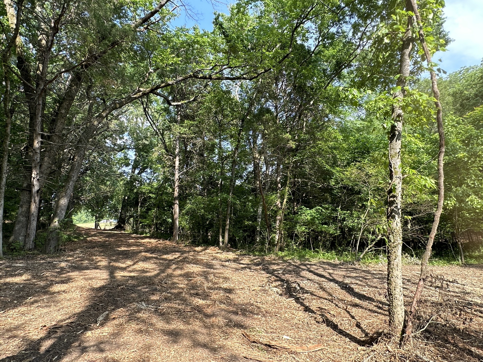 Photo 6 of 7 of 0 Highway 109 N land