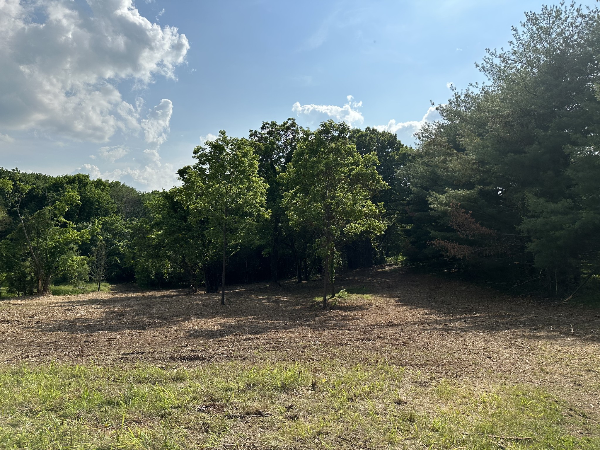 Photo 1 of 7 of 0 Highway 109 N land