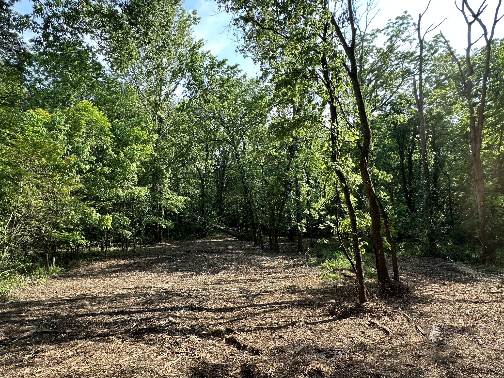 Photo 5 of 7 of 0 Highway 109 N land