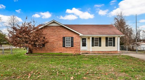 Photo of 181 Stephanie Dr, Clarksville, TN 37042 (MLS # 3061348)