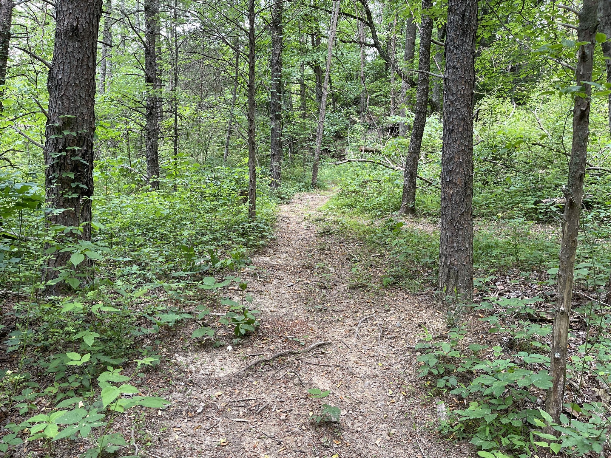 328 James Turner Rd
