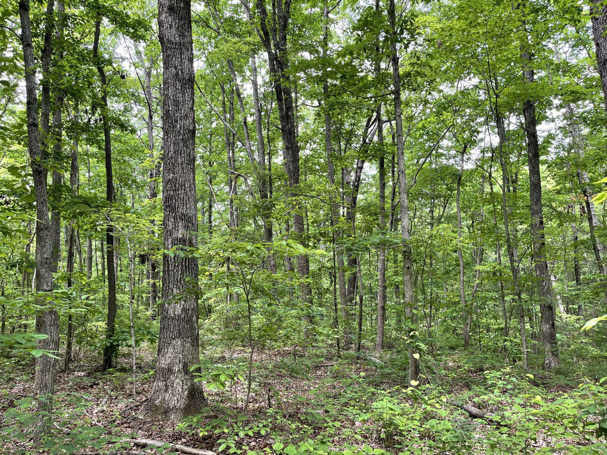 328 James Turner Rd