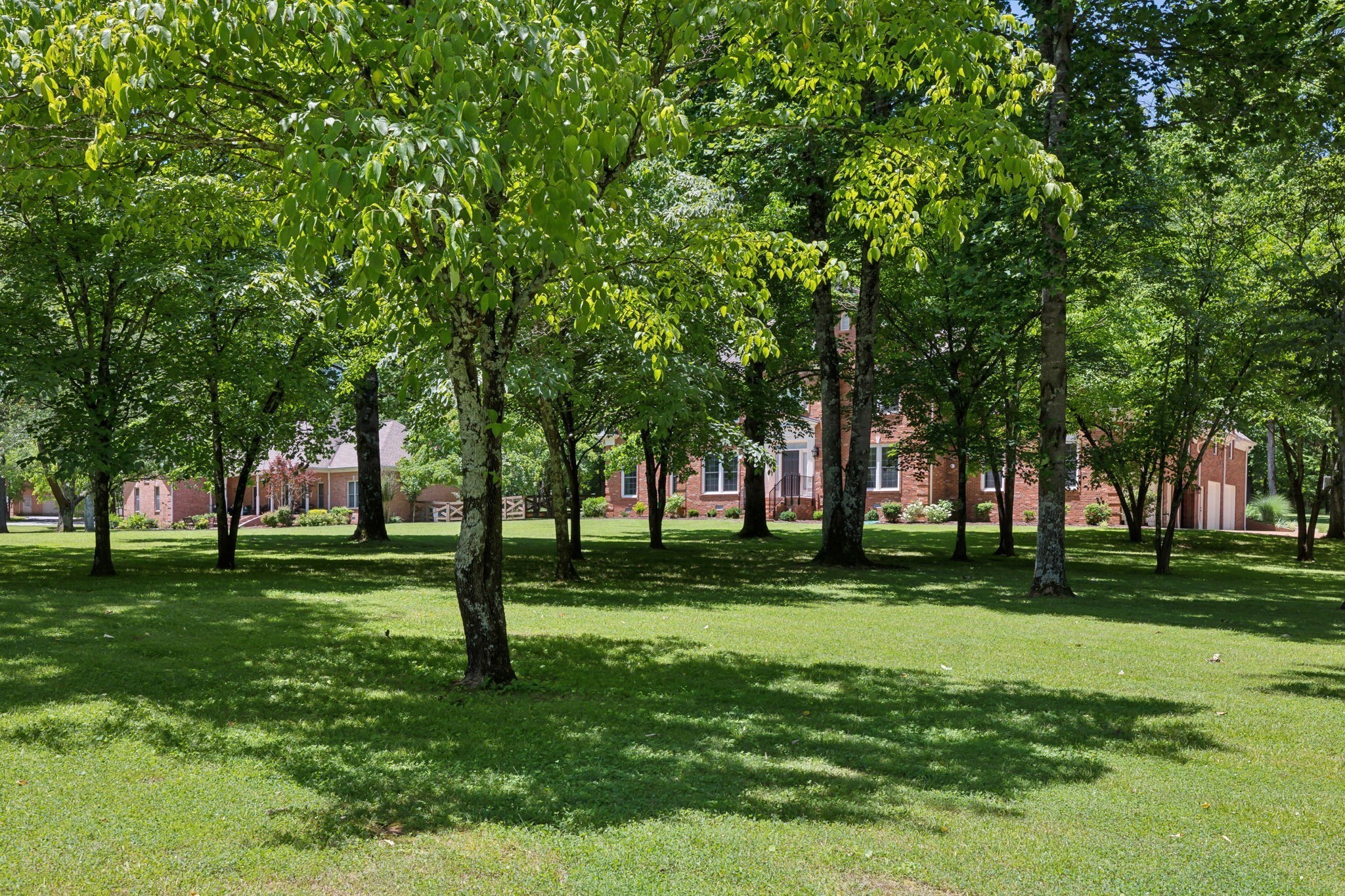 3208 Thoroughbred Dr