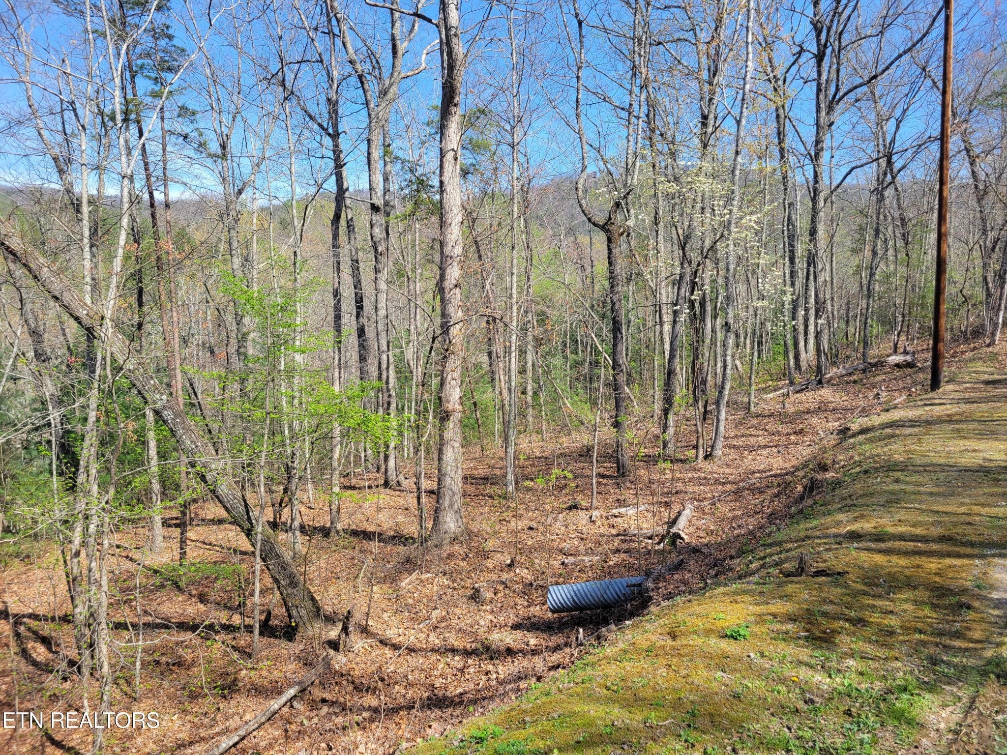 10 Black Oak Drive