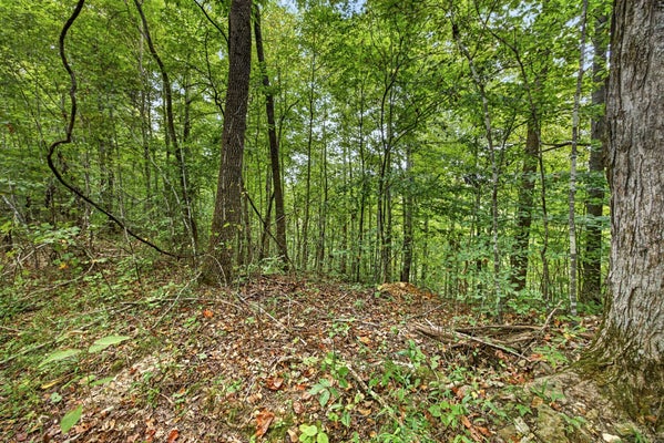 0 TIMBER RIDGE LANE, CELINA, TN 38551 - Image a92ee9332cc77fc2f1dfe0bb8938ae45/233126766