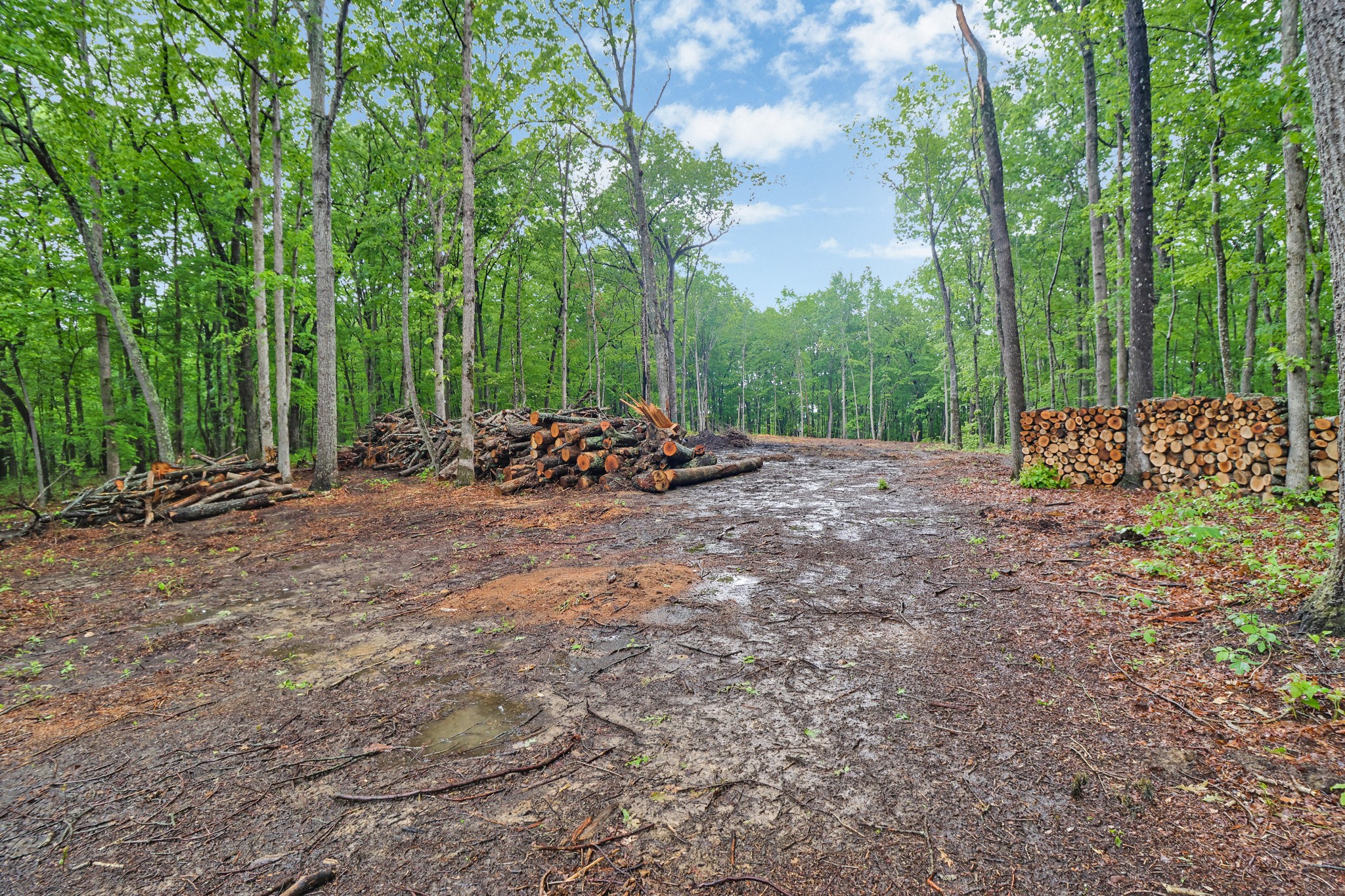 540 Cumberland Cove Rd