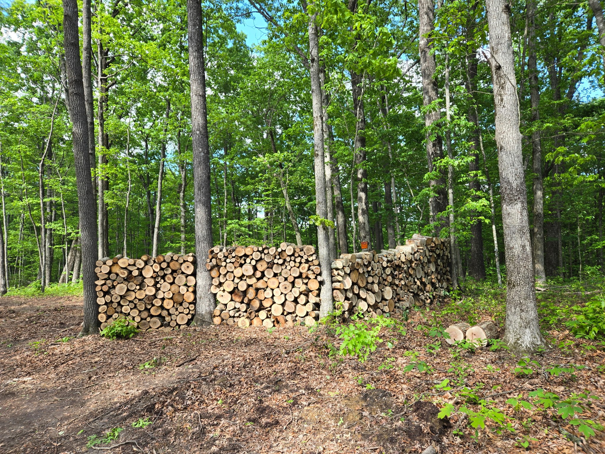 540 Cumberland Cove Rd