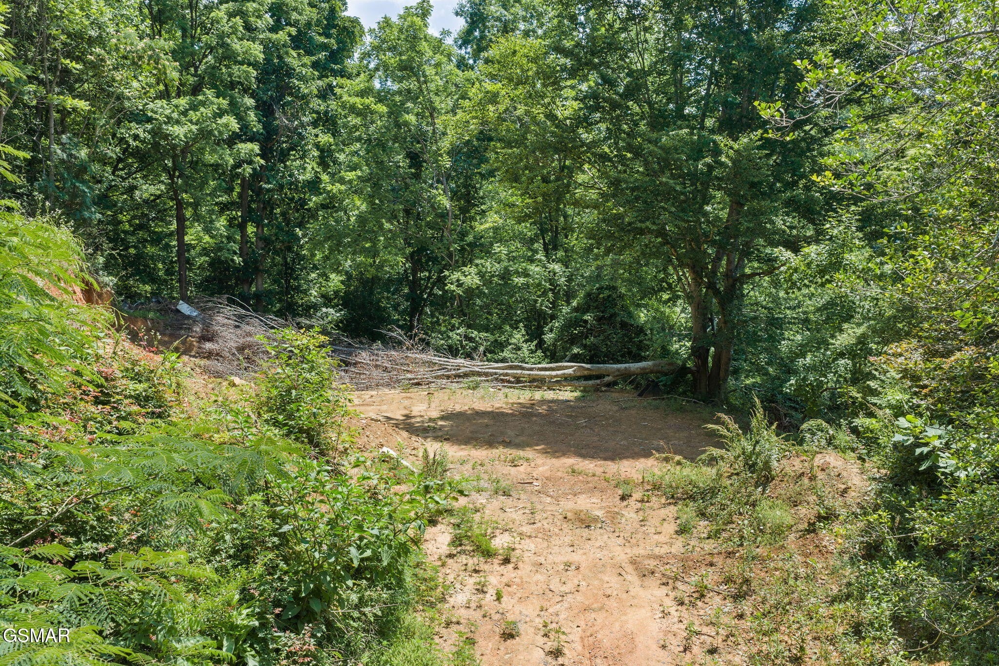 520 Verless Ogle Road