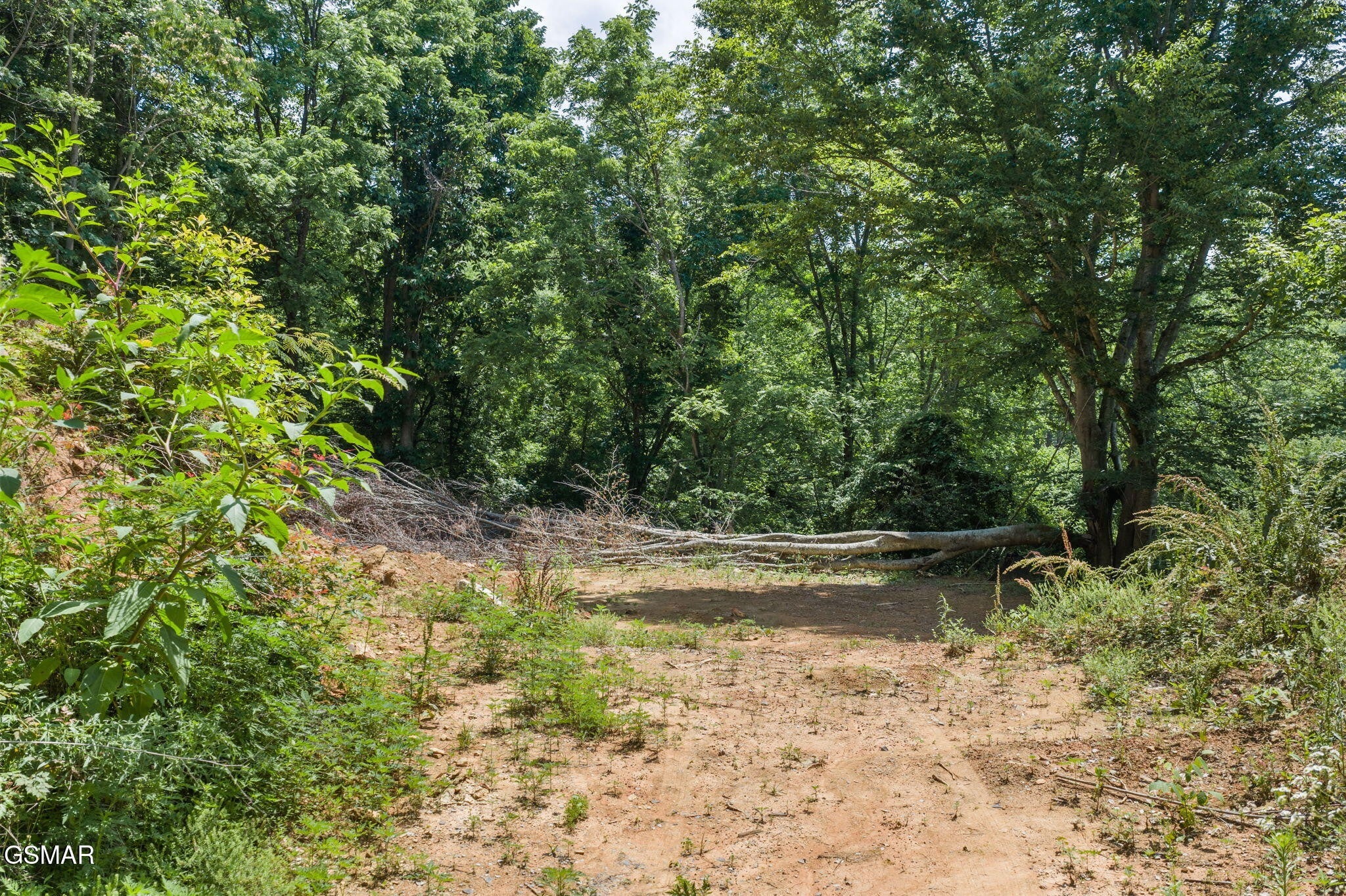 520 Verless Ogle Road