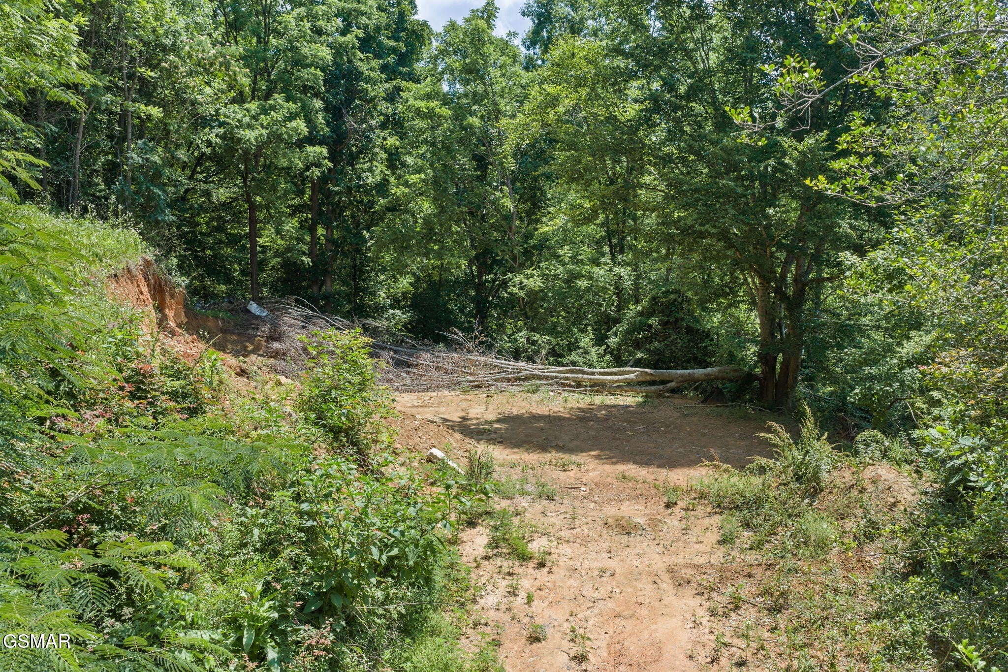 520 Verless Ogle Road