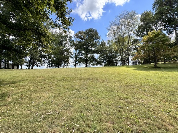 3175 Hwy 259