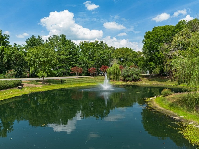 1244 Carriage Park Dr
