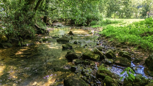2203 STONES RIVER RD, WOODBURY, TN 37190 - Image a9cbde92a1e39c9b5884f7a72282acdb/404125331