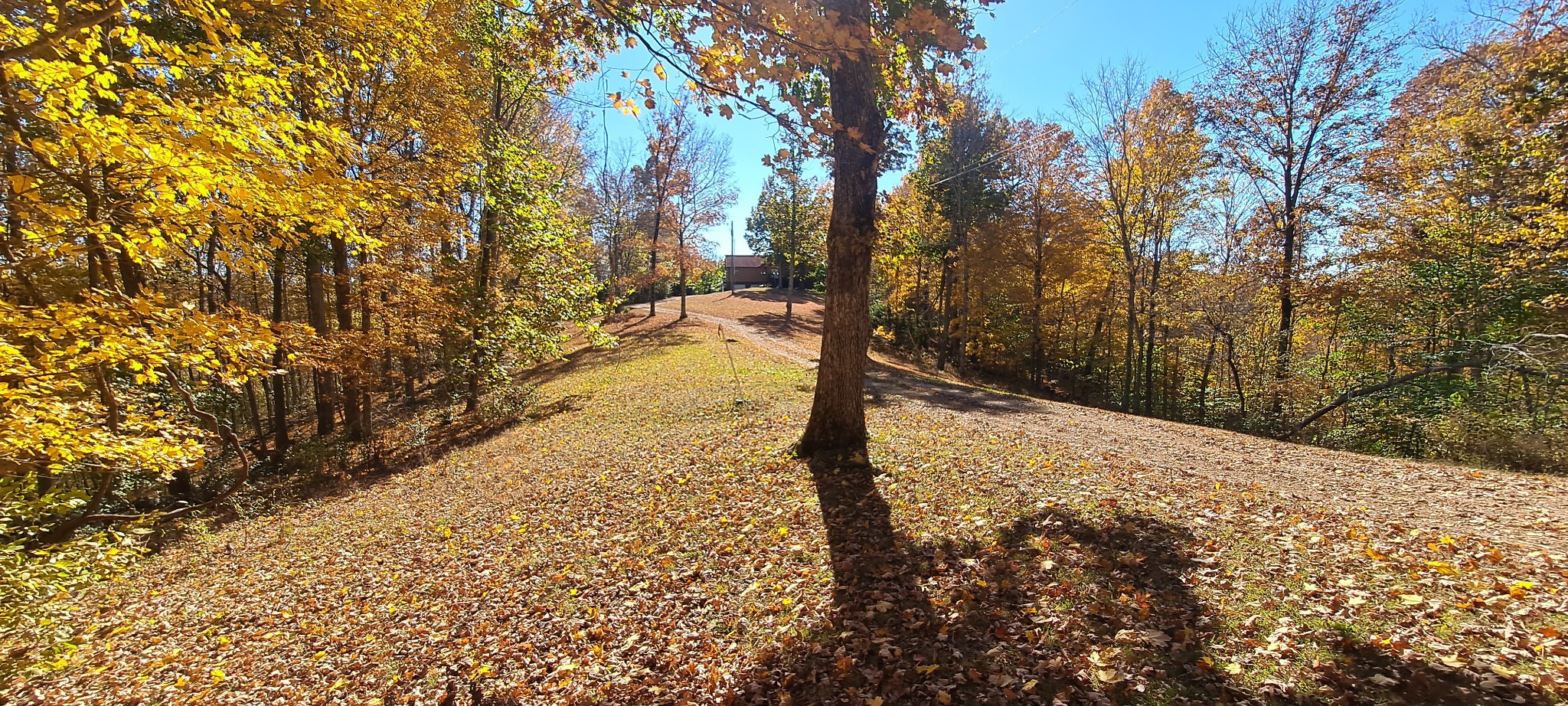 1027 Garland Hollow Rd