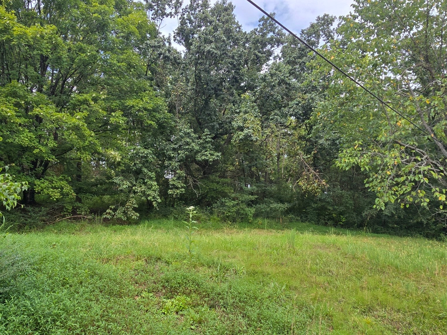 119 Old Dobbins Pike