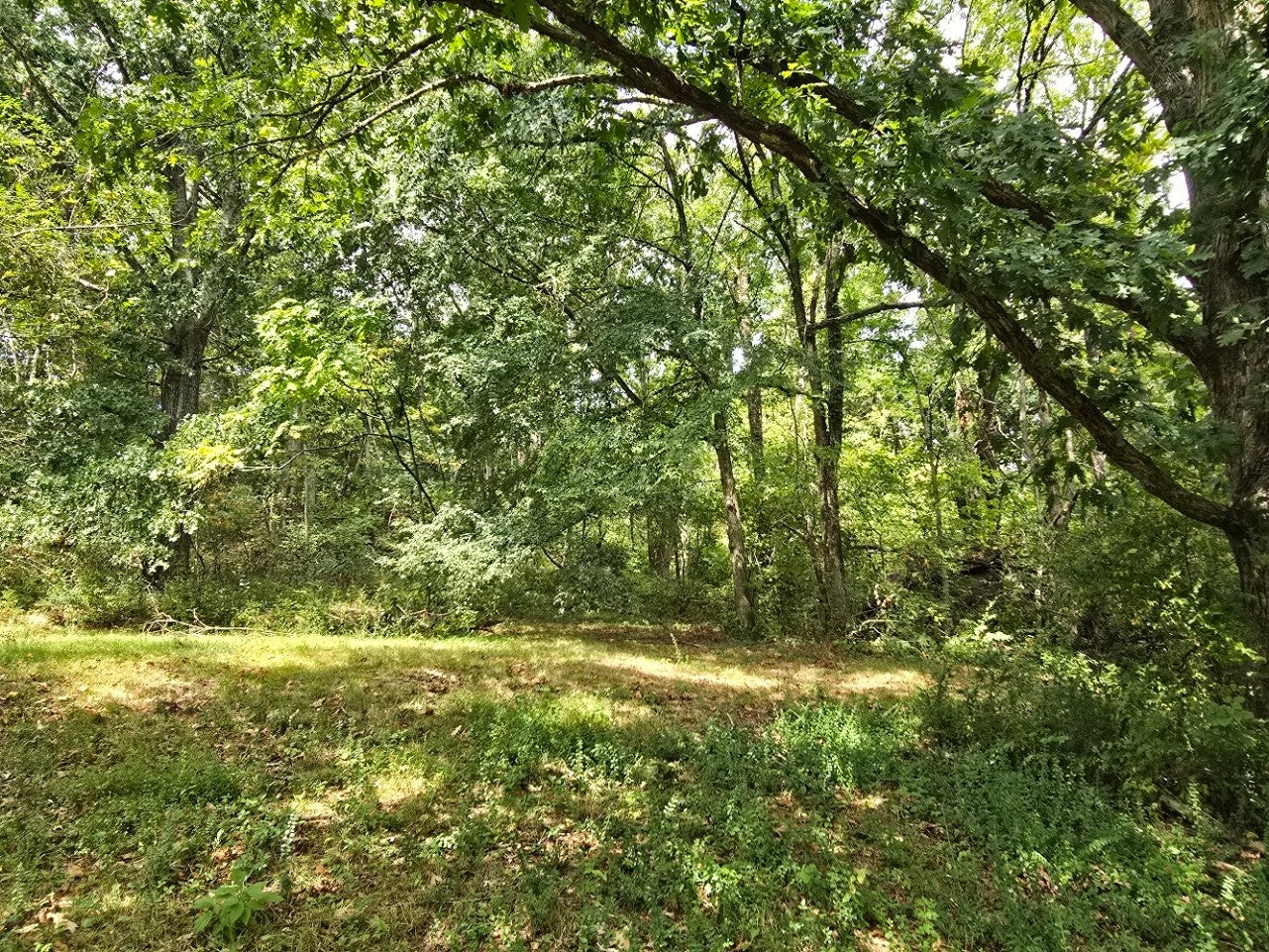 119 Old Dobbins Pike