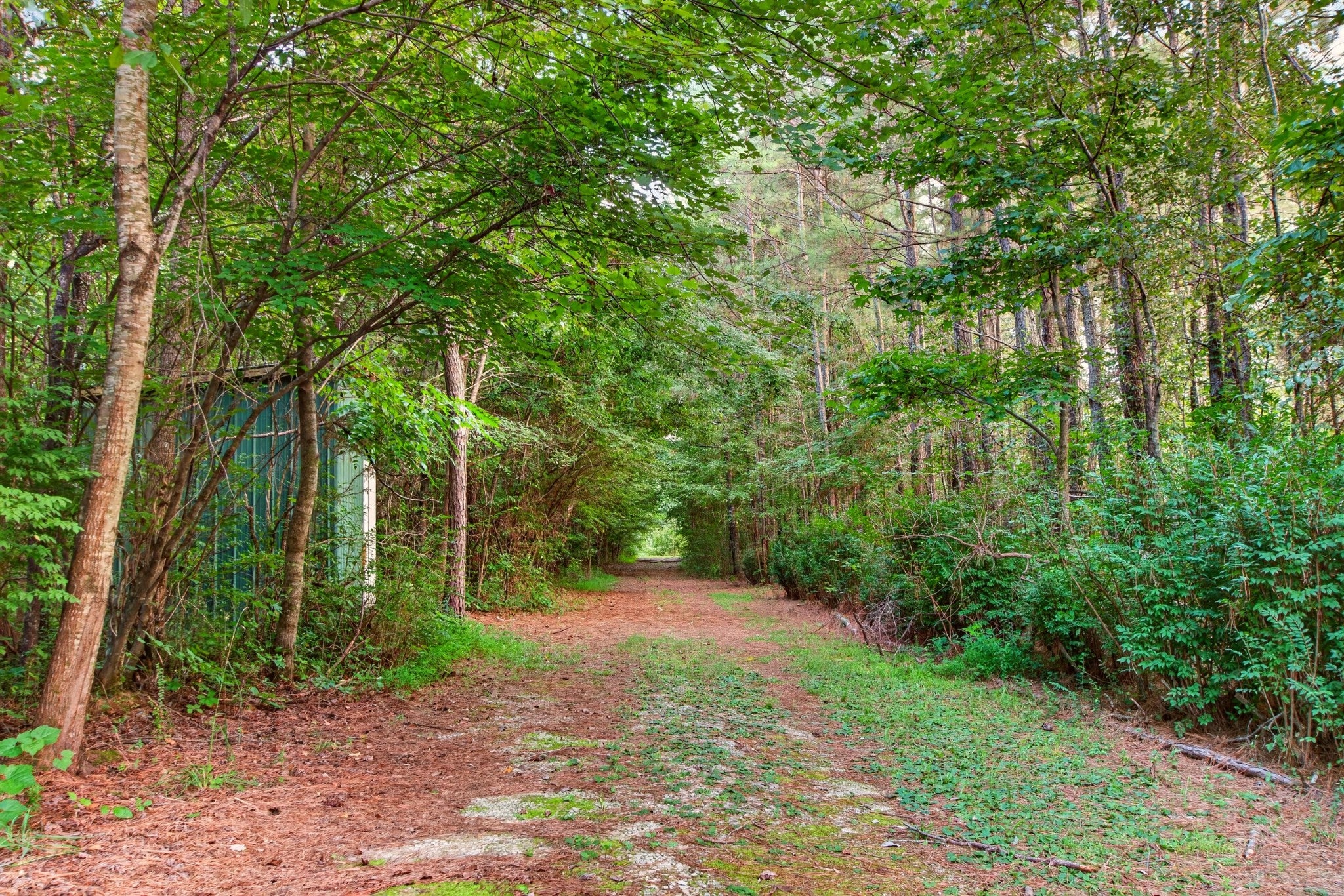156 Sunshine Mountain Lane