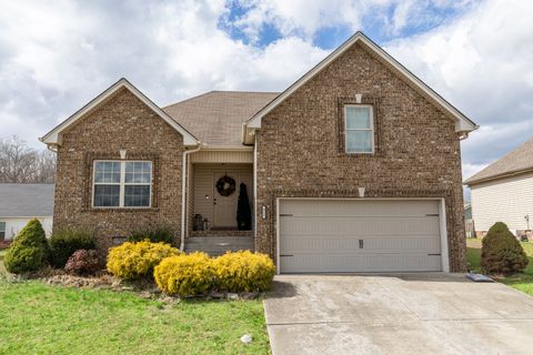 317 Brandywine Ln Springfield TN 37172