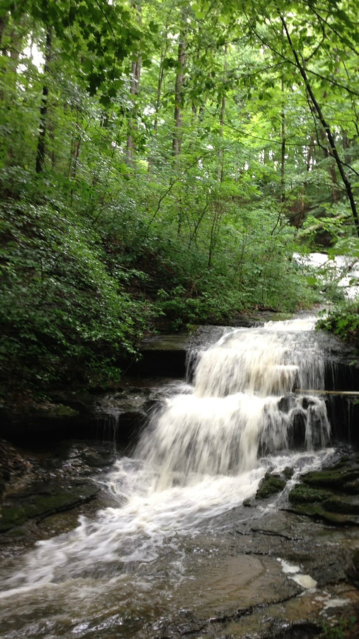 3575 Tyree Springs Rd