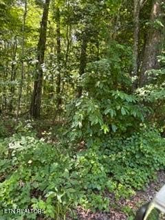 850 Lick Hollow Drive