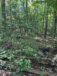 850 LICK HOLLOW DR, GRANDVIEW, TN 37337 - Image aa49a773ebf40fa4d27a8c3a0bd4d07e/2700538376