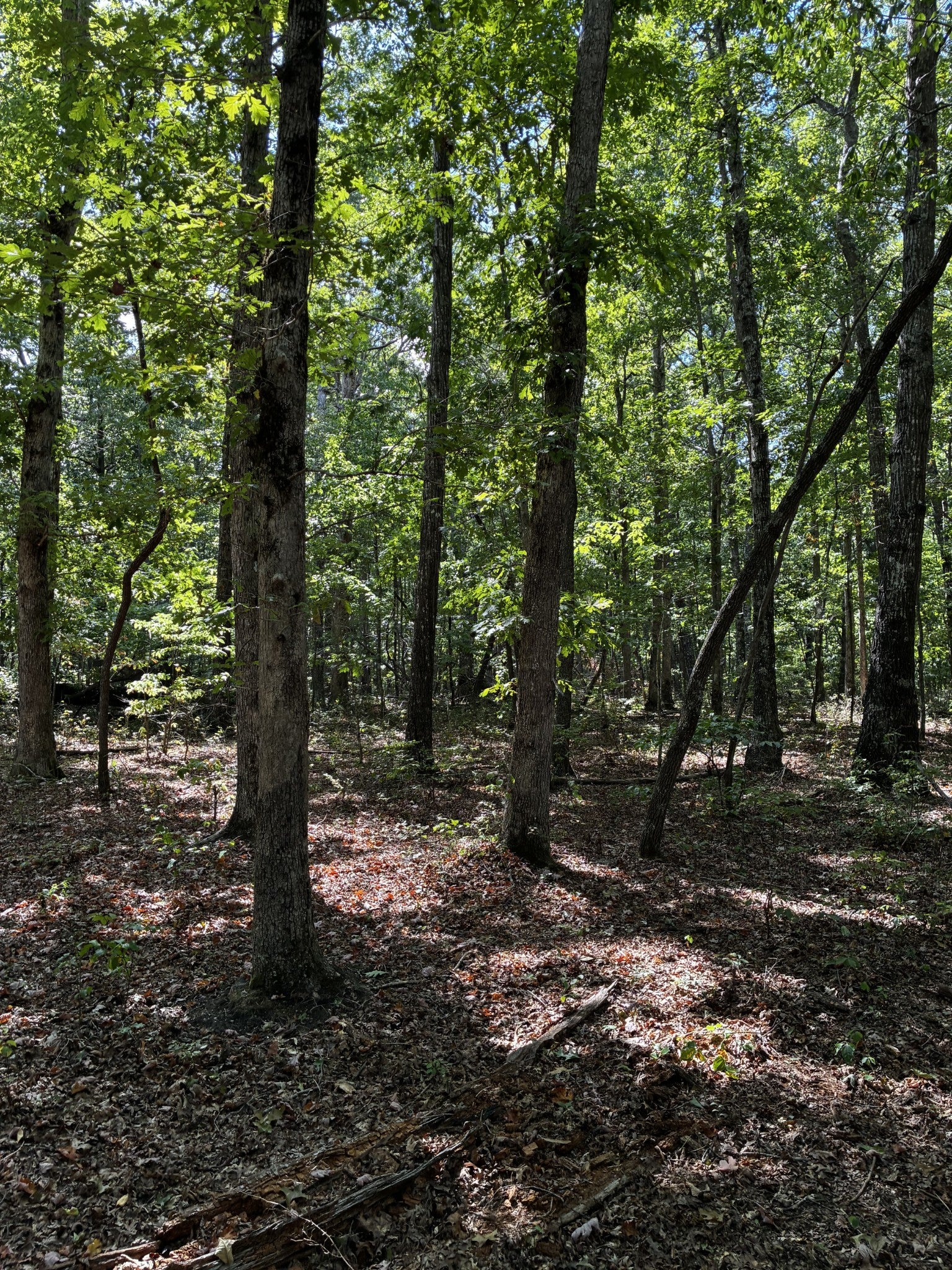 0 Deepwoods Rd