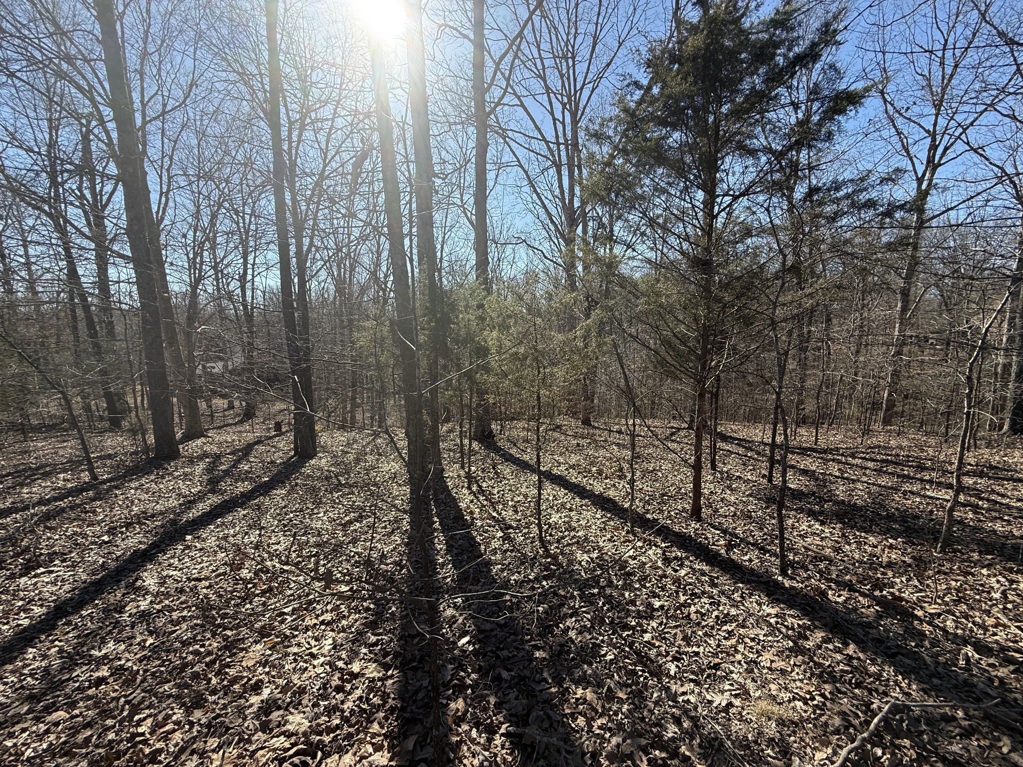 28 Backwoods Estates